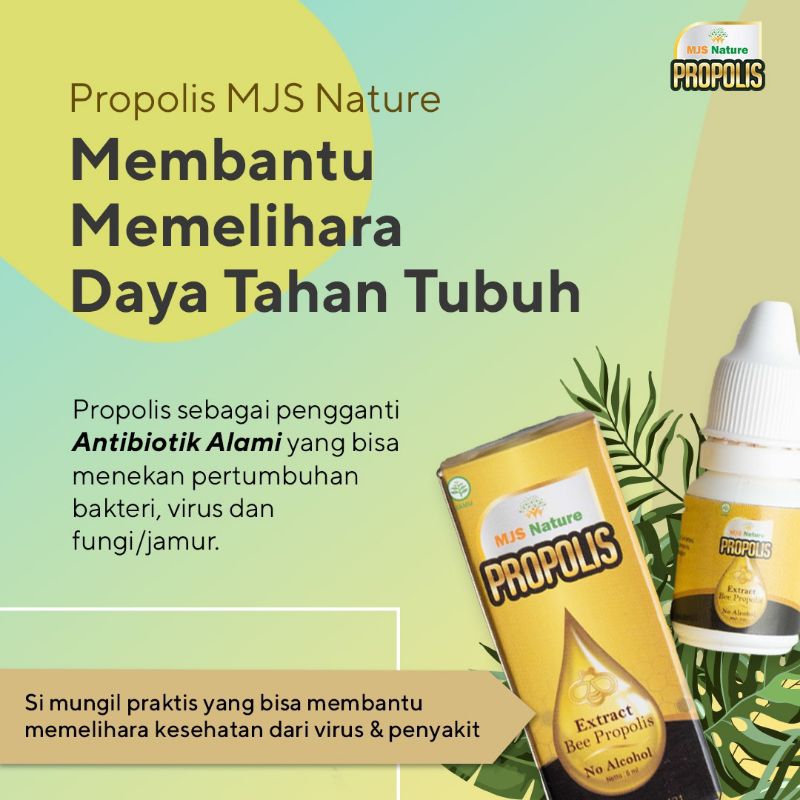 

NatureMjs(propolis)