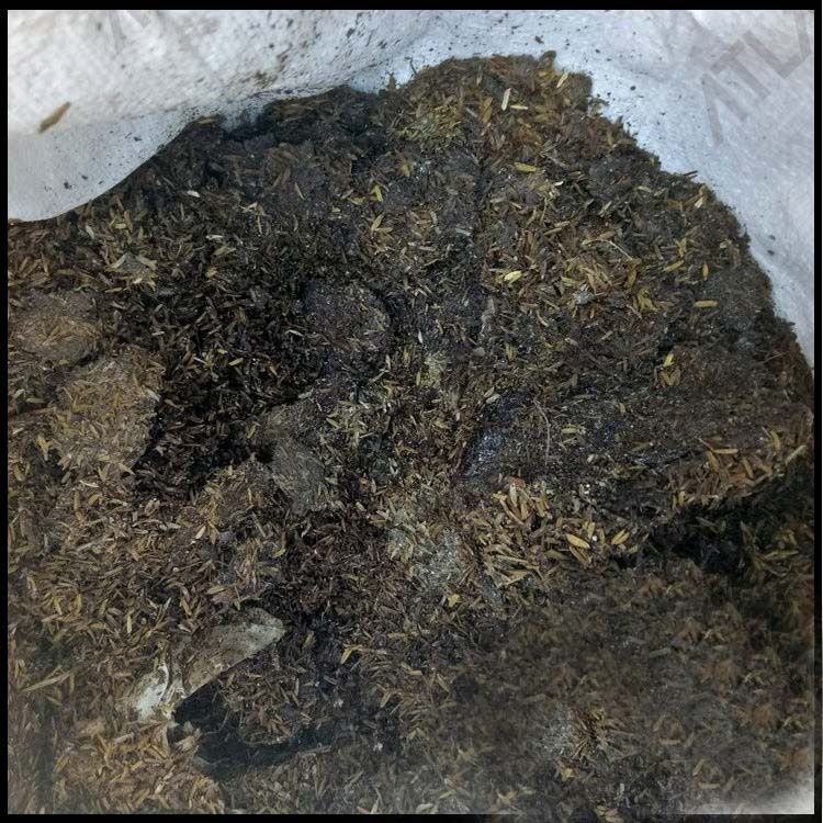 pupuk organik kohe ayam