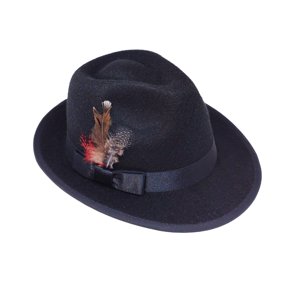 Topi fedora bulu burung phesant polkdaot untuk  pria dan wanita  Dewasa warna banyak