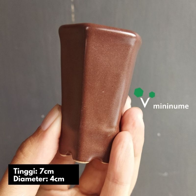 Pot Mini, Pot Bonsai, Pot Unik Tanaman Hias