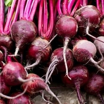 

BUAH BIT /BEETROOT (ANEMIA BOOSTER)