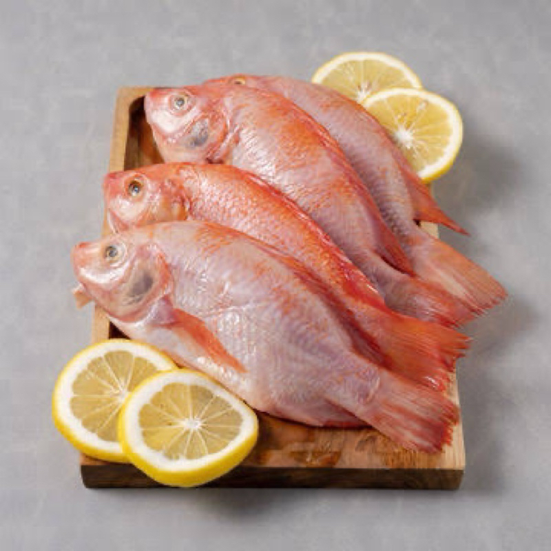 

Ikan nila merah fresh segar 1kg