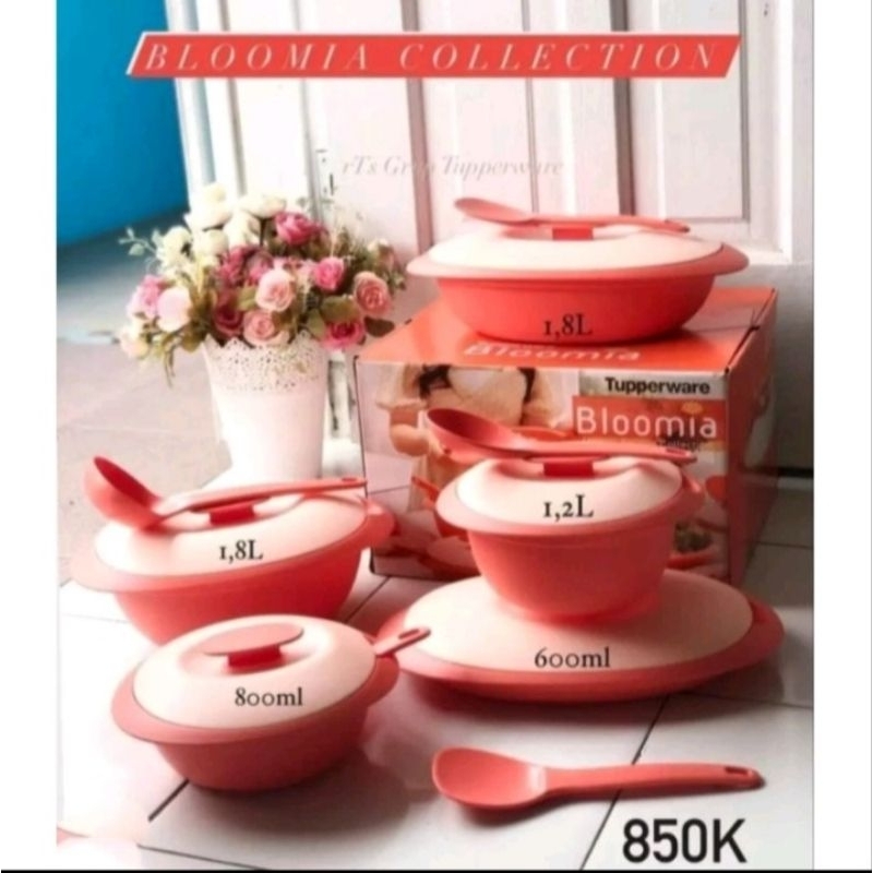 Bloomia collection set