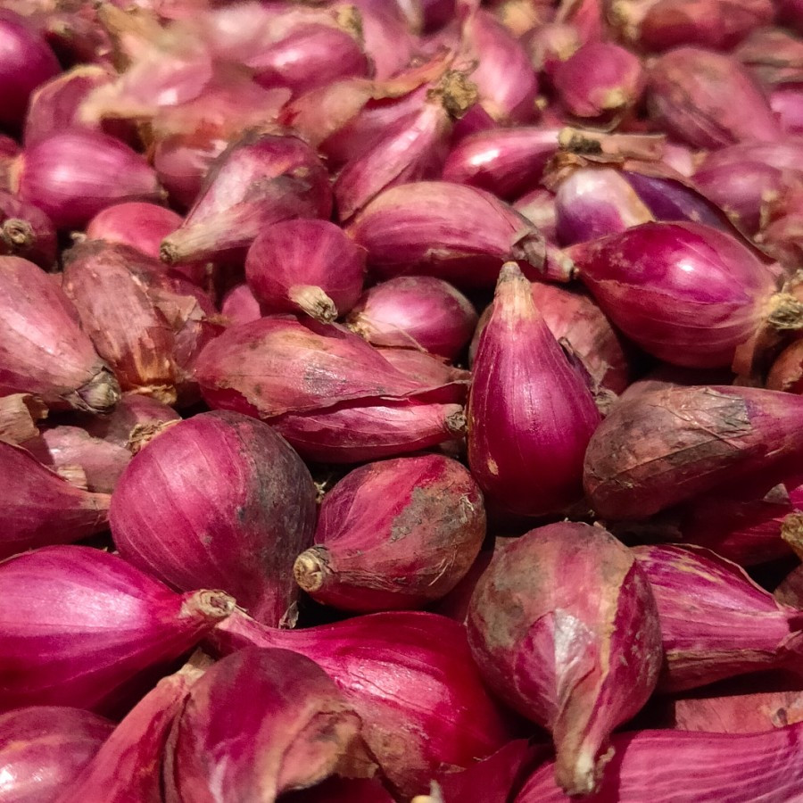 

Bawang Merah Brebes 1kg Bumbu Dapur Segar