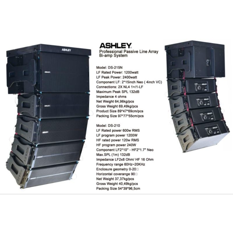 Ashley line array DS215N