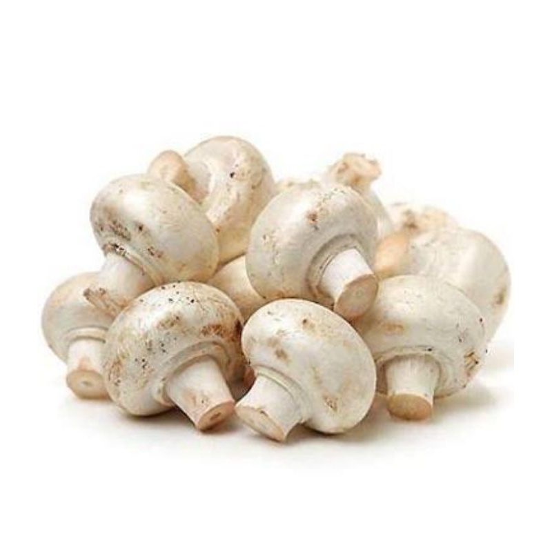 

Jamur Kancing / Champignon 250 gr