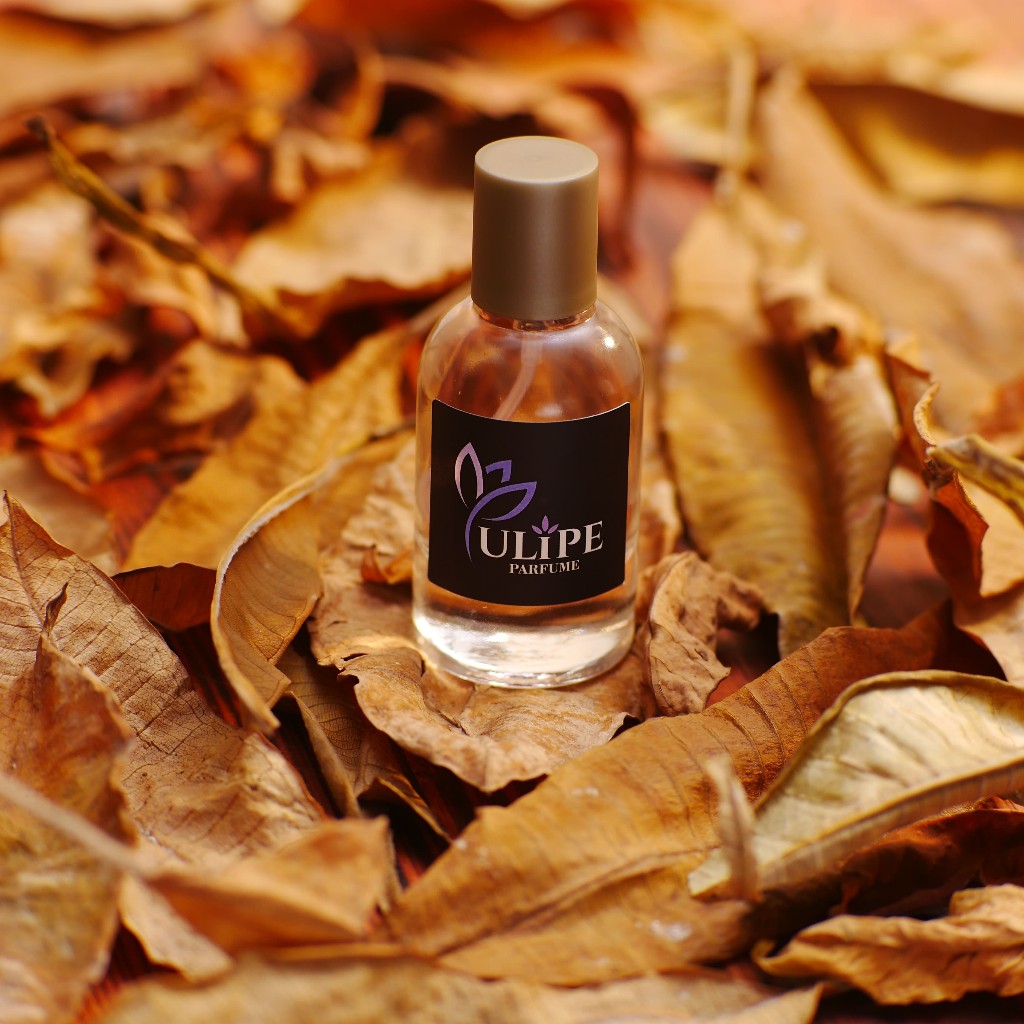 Tulipe Parfume - Bvlgari Pour Homme Premium Parfum Man Eau De Toilette