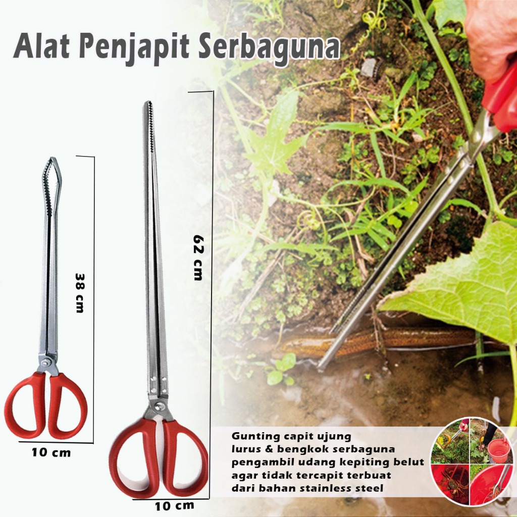 Gunting Capit Alat Capit Lele Belut lopster Stainless Steel - Alat Penjepit Belut Gunting Japit Serb