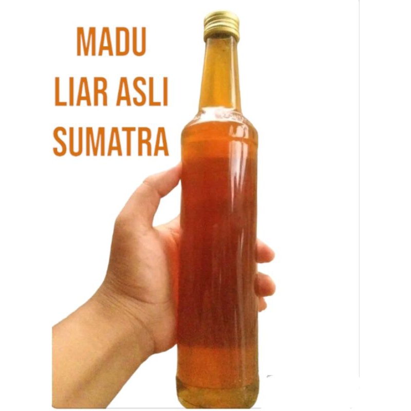 

Madu hutan Liar Asli Sumatra,100% Madu Asli