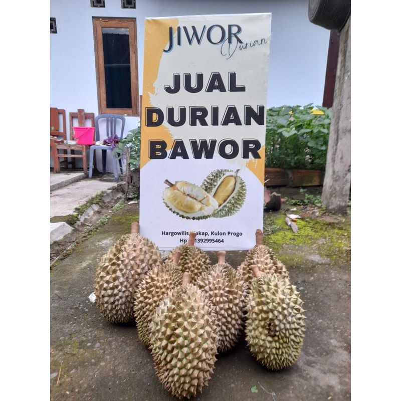 

Durian Bawor