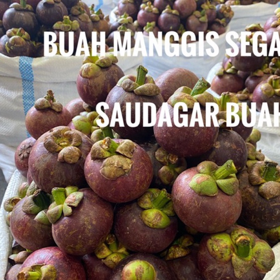 

Ready Stok BUAH MANGGIS SEGAR 1KG