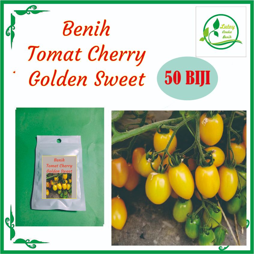 BENIH TOMAT CHERRY  SWEET GOLDEN ISI 50 BIJI