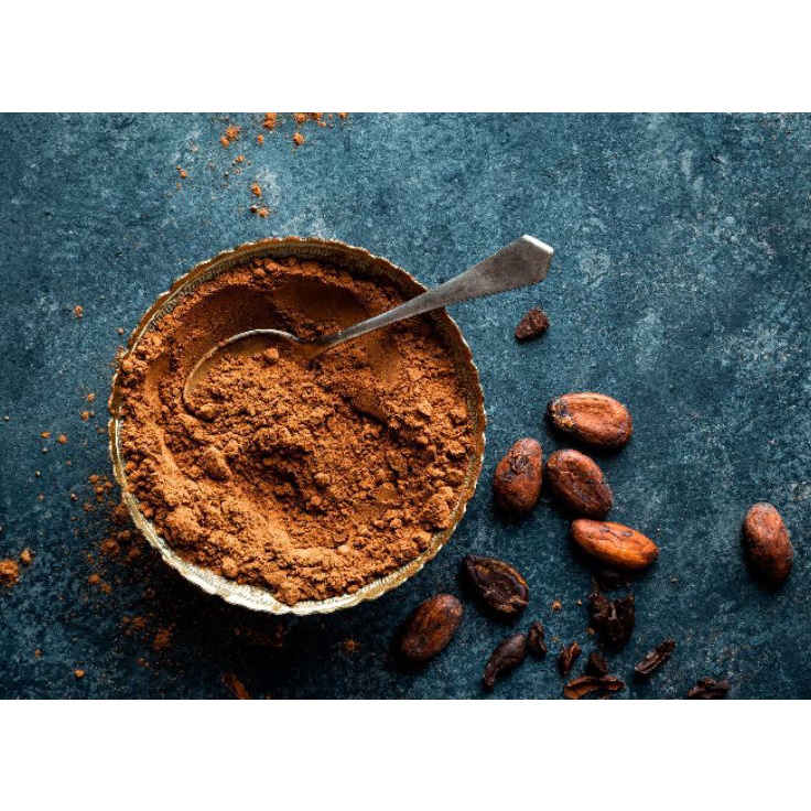 

Ready Stok Bubuk Cokelat Murni Pure Cocoa Dark Chocolate Powder 1 Asli SBM