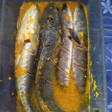 

Pasti Laku Ikan Gabus Bumbu Kuning 5 Gram Bawang Bagus