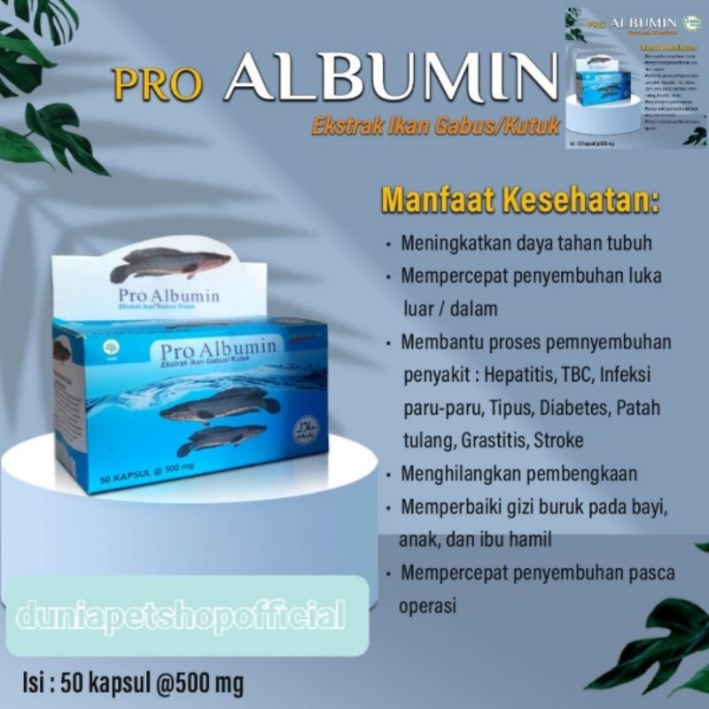 Pro Albumin Kapsul Ikan Gabus Obat Pra Operasi Cesar