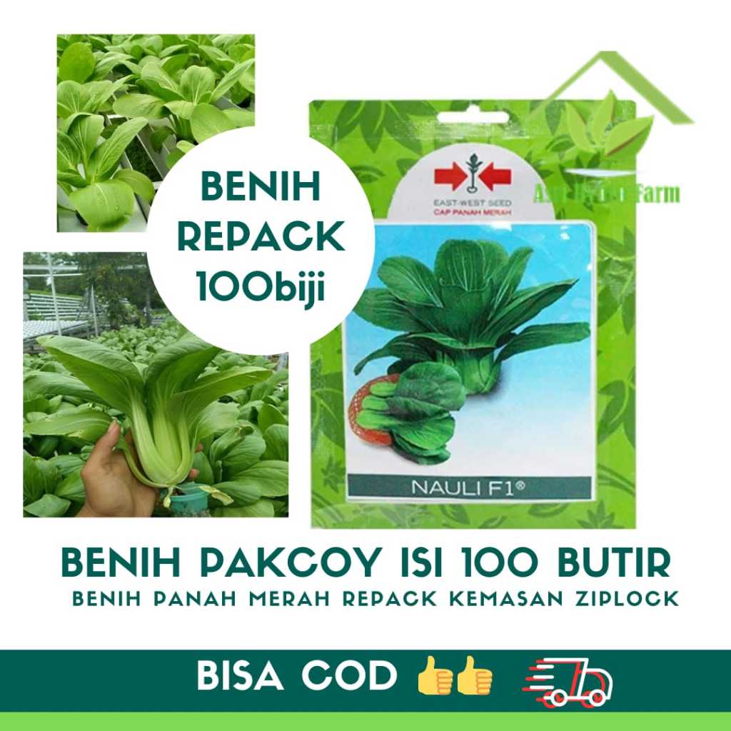 [ISI 100 BIJI] REPACK BENIH PAKCOY PANAH MERAH