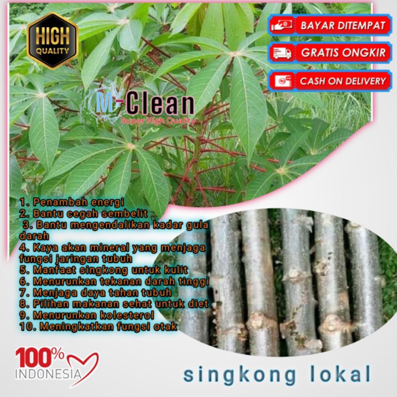

daun singkong lalap segar satuan