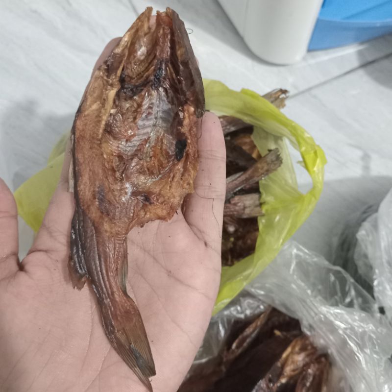 

ikan salai baong