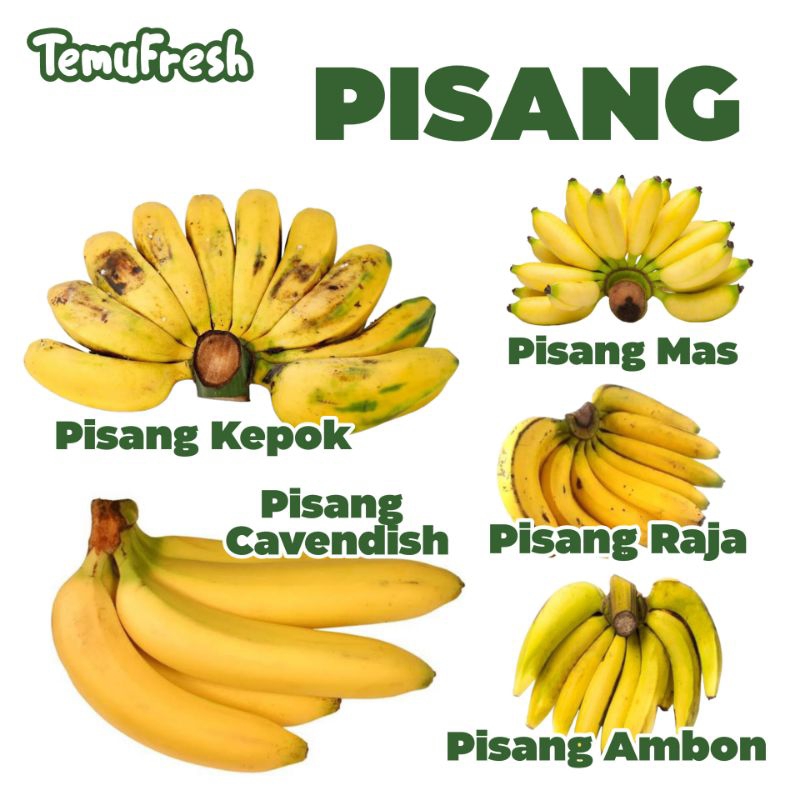 

PISANG MAS KEPOK RAJA AMBON CAVENDISH TEMUFRESH - Buah Pisang Segar Sleman Jogja TemuPawon Fresh