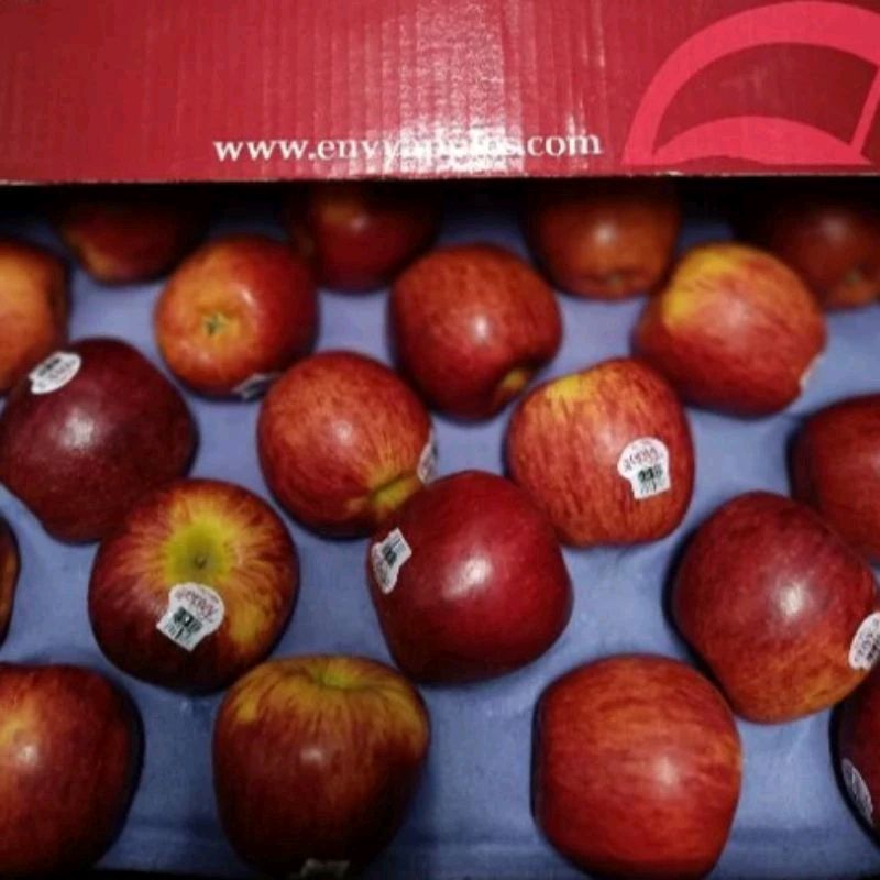 

apel envy HG size 80 / kg