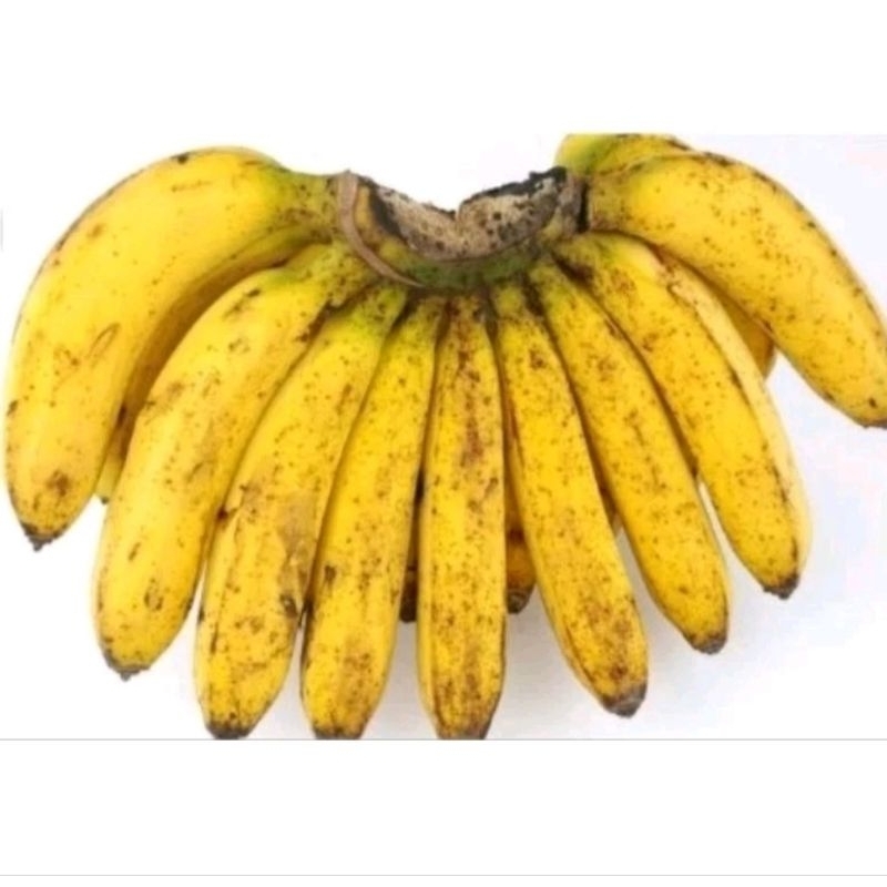 BUAH PISANG RAJA / PISANG RAJA / JAMIN SEGAR / 1 SISIR