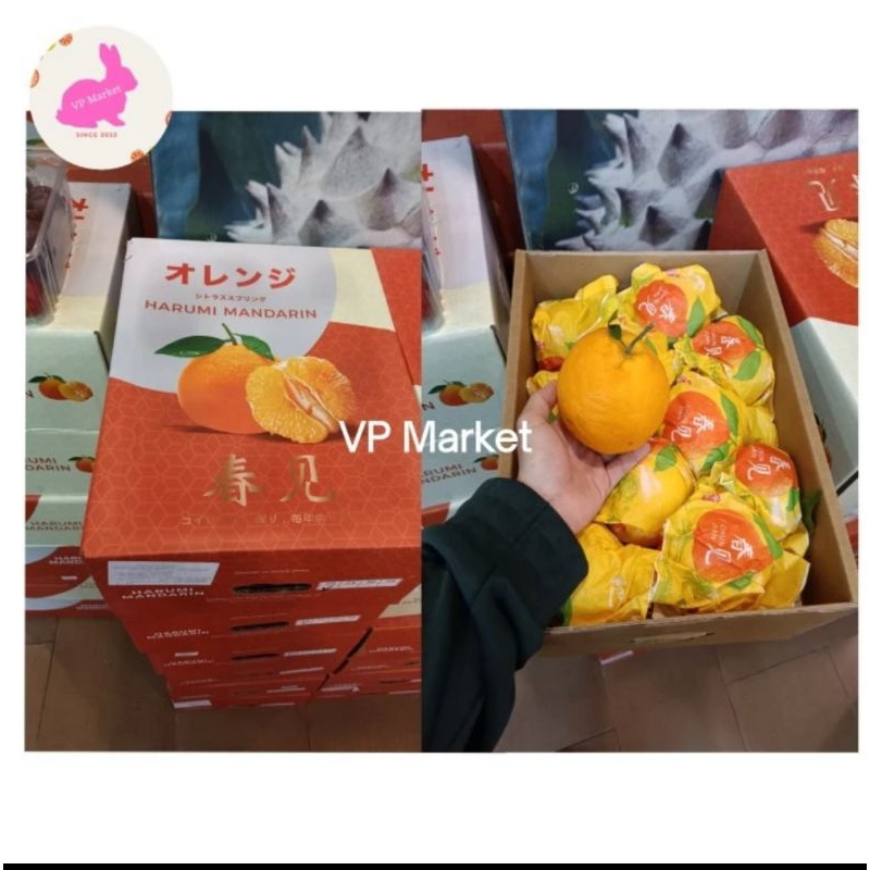 

Jeruk Harumi Mandarin Dekopon Super Jumbo -+6kg | Jeruk Chunjian