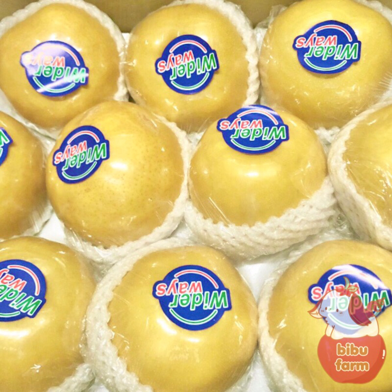 

Pear Golden Widerways Berat/Kilogram