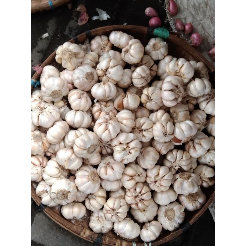 

Bawang putih Sinco 500gr