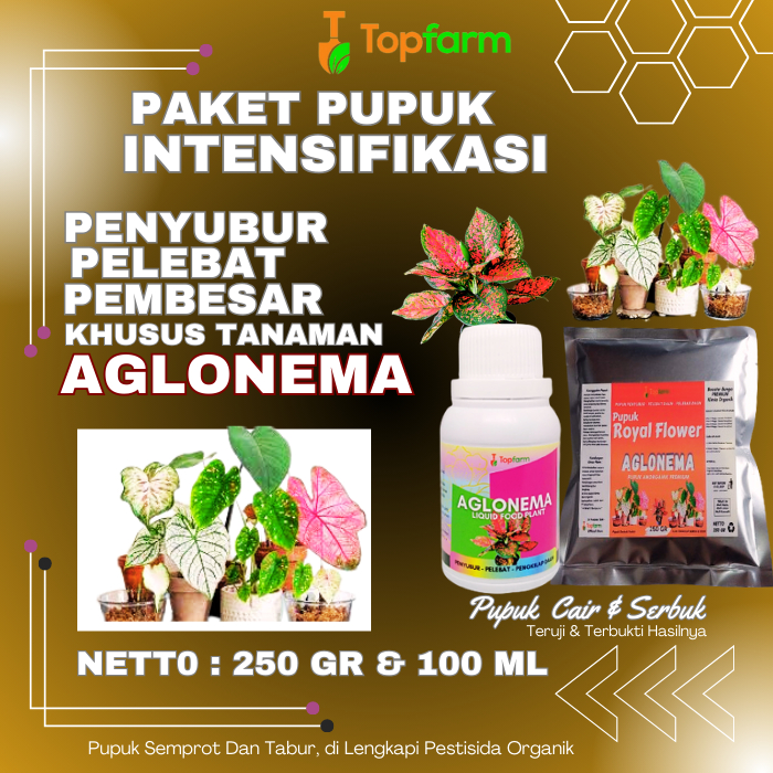 Pupuk Khusus Tanaman Aglonema / Pupuk Khusus Aglonema / Pupuk Aglonema Untuk Daun Akar / Pupuk Aglon
