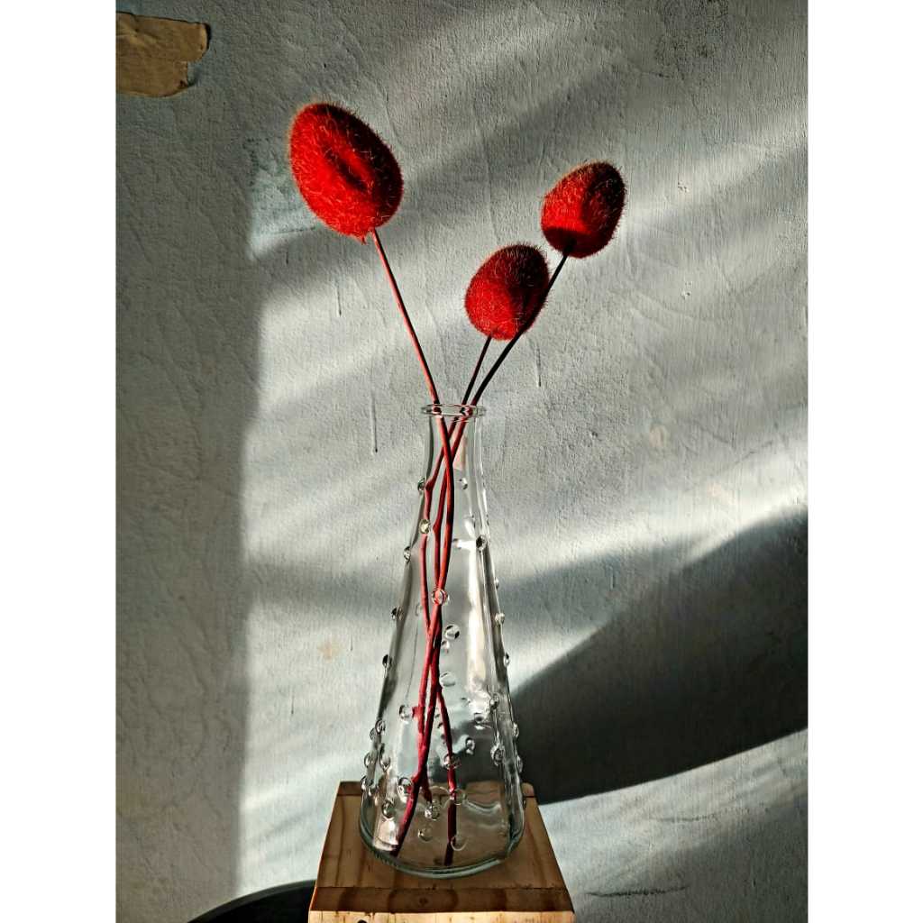 Vas Bunga Kaca Atlantic / Vas Bunga Kaca Bening Aesthetic / Pot Kaca Tanaman Air Hidroponik / Dekora