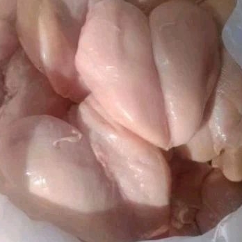 

Fillet Dada Ayam