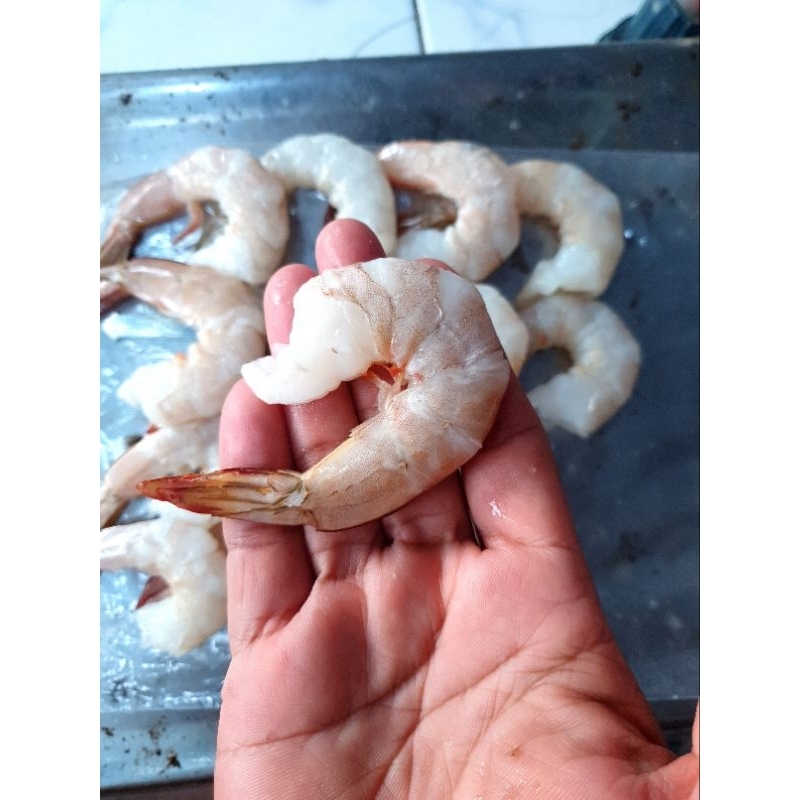 

udang kupas. udang laut kupas