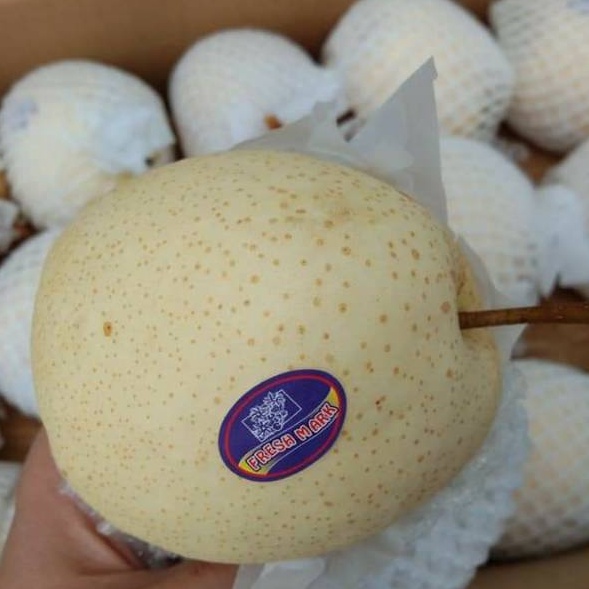 

1111 buah pir madu sweet pear manis 1kg