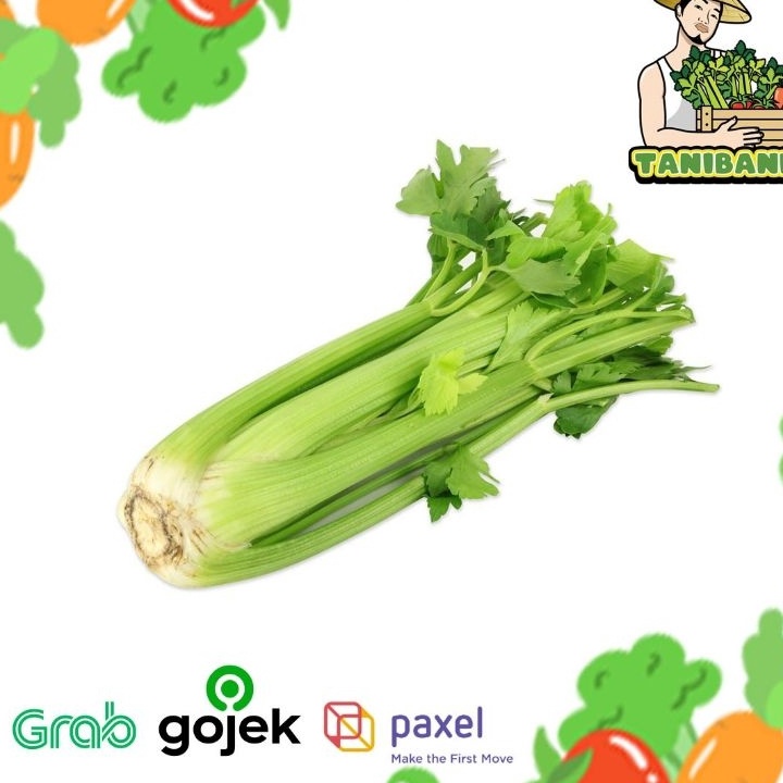 

MEGA SALE HARGA 1KG Celery Stick import Seledri Stik importkualitas PREMIUM dan FRESH