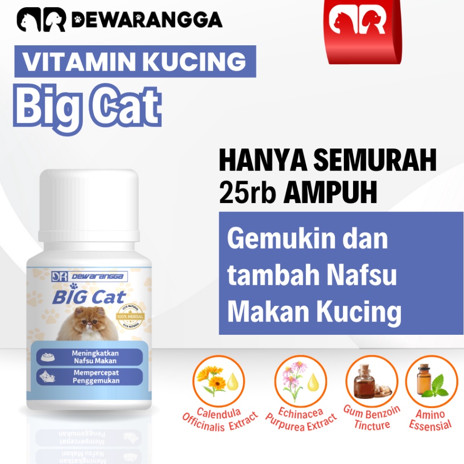 FSASH SALE Vitamin Kucing BIG CAT Dewarangga  Vitamin Nafsu Makan dan Penggemuk Kucing  Vitamin Kuci