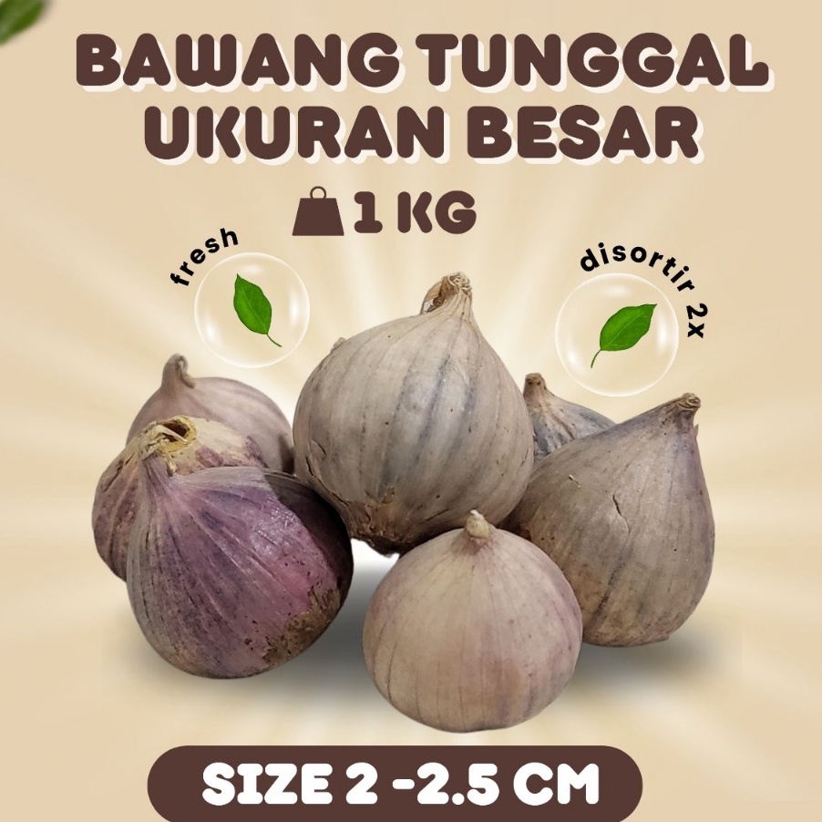 

PROMO SALE Bawang Putih Tunggal Lanang Besar 1KG