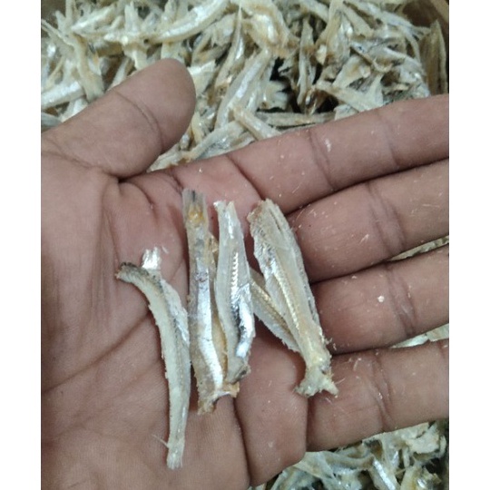 

Teri jengki belah 5grteri kacang