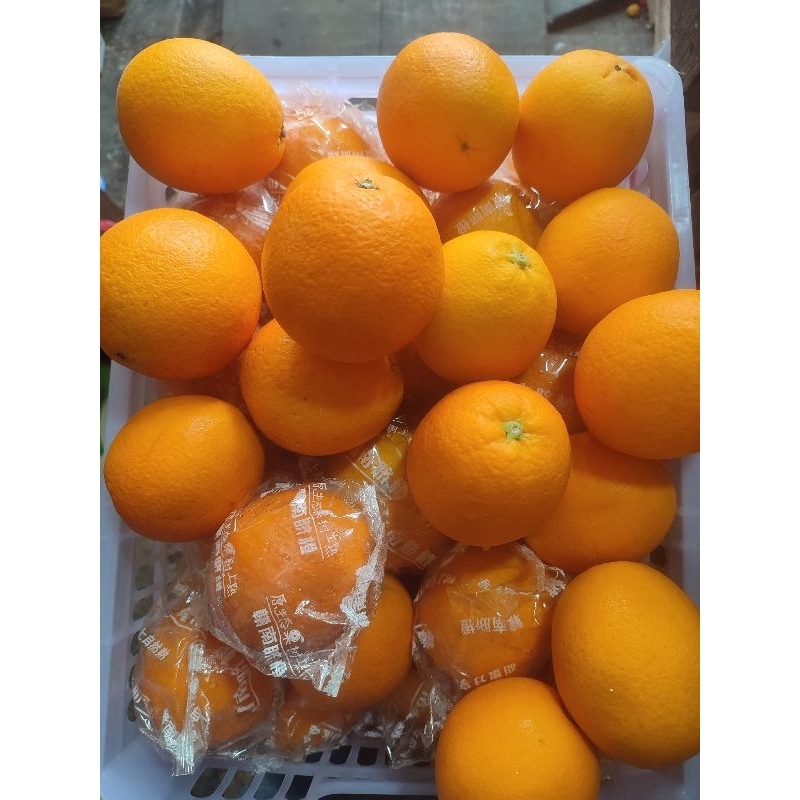 

Jeruk Sunkist Navel Super 700 gr - 1 kg