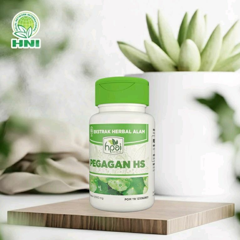 PEGAGAN HS HNI