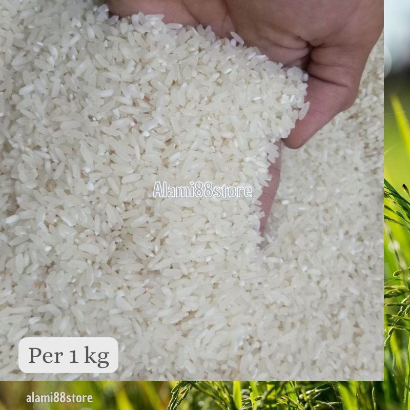 

Beras "Murni Tani" per/ 1 KG Kab. Lebak