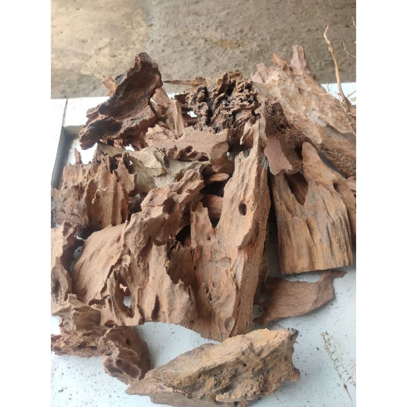 kayu rentek aquascape size s