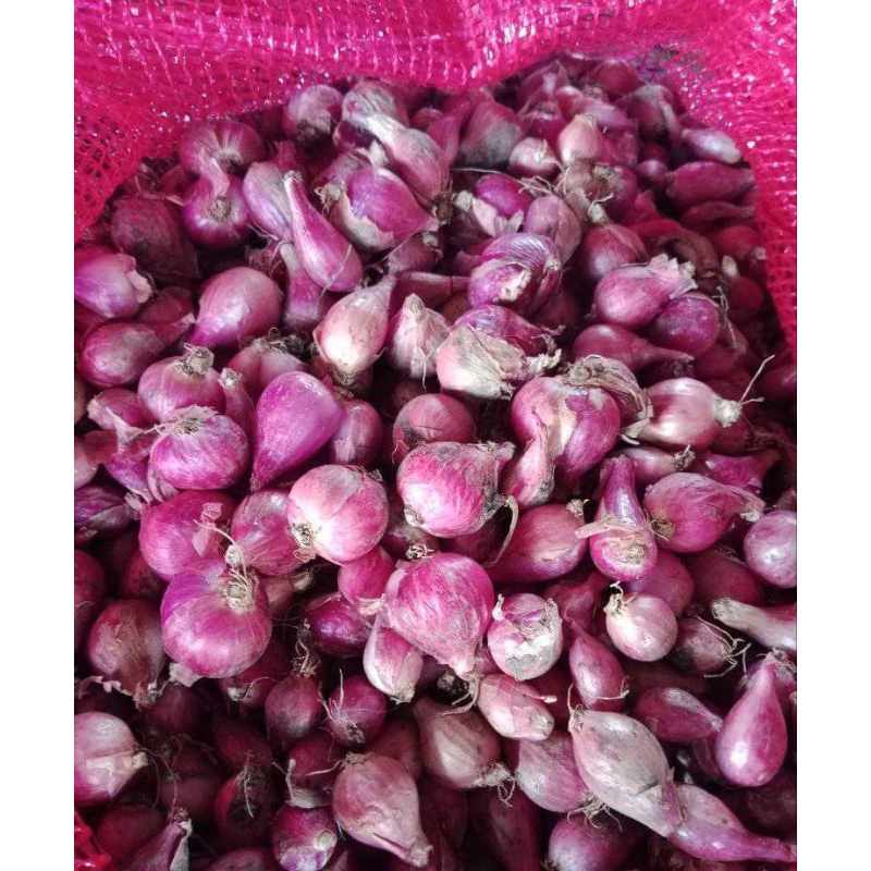 

Bawang merah brebes super organik 1kg murah meriah