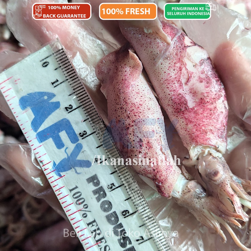 

GROSIR PROMO Cumi Asin Sedang 47Cm 1kg 5gr Ikan Asin Jakarta Sontong Rebus Mentah Siap Masak
