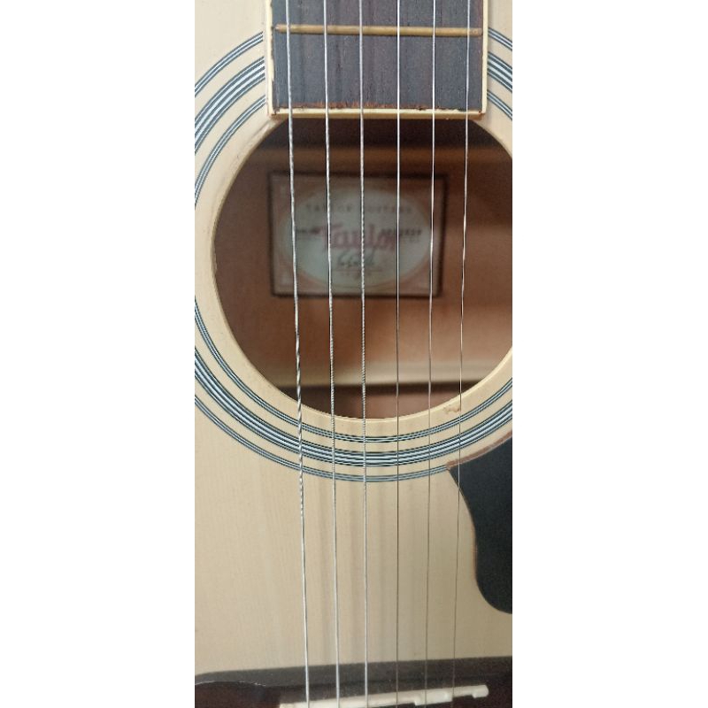 Taylor Guitar Second