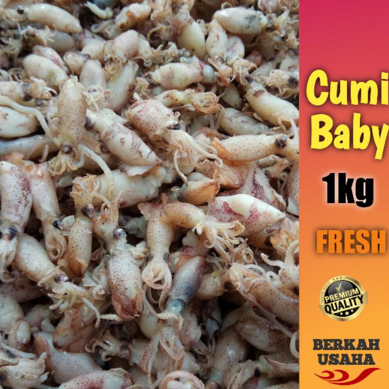 

BEST SELLER BABY CUMI ASIN REBUS FRESH size 12cm23cm34cm Per 1kg IKAN ASIN MURAH GROSIR SOTONG KECIL BEBI CUMI ASIN KECIL