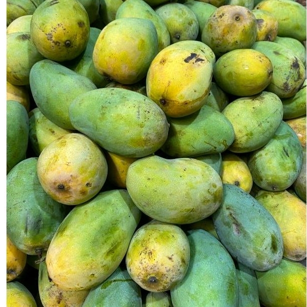 

Mangga Harum Manis 500gr