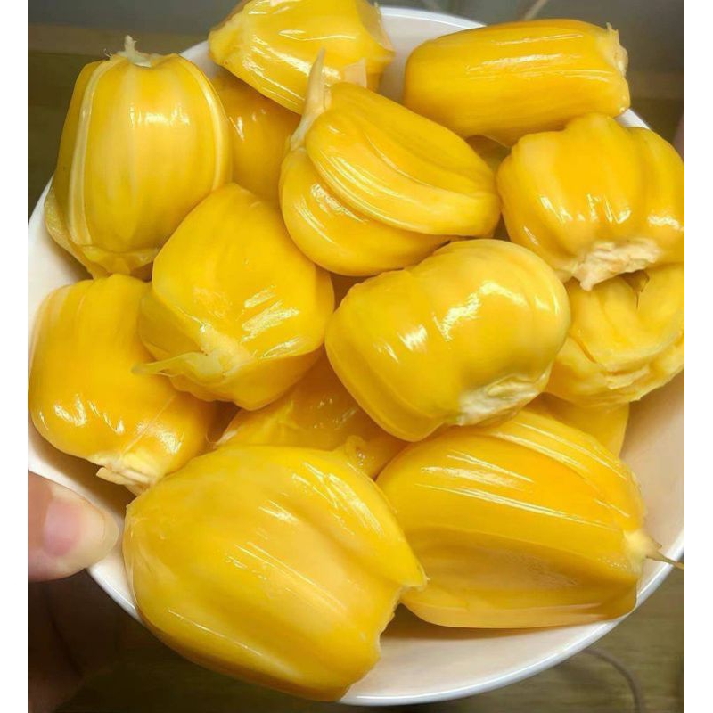 

READY NANGKA SEGAR 400 GRAM JUAL BUAH NANGKA SEGAR MALANG MURAH GRATIS ONGKIR