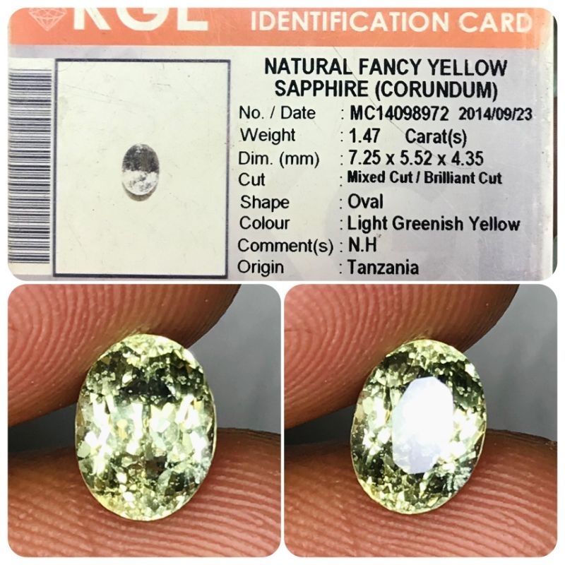 natural fancy yellow sapphire 1,47 cratt memo kgl