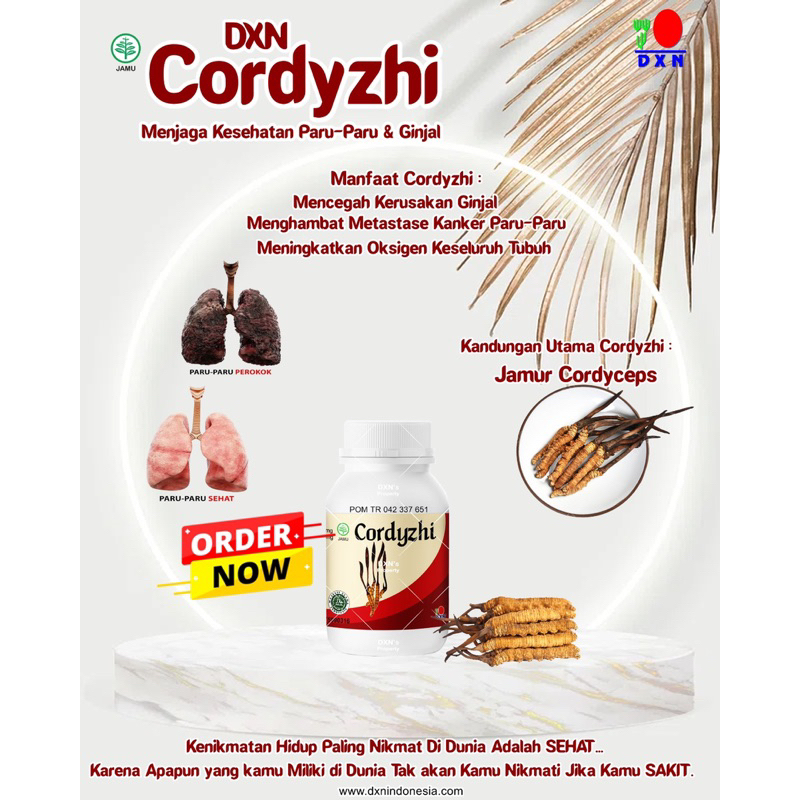 Cordyzhi DXN isi 90 Kapsul - Cordyceps Plus Jamur Lingzhi Ganoderma