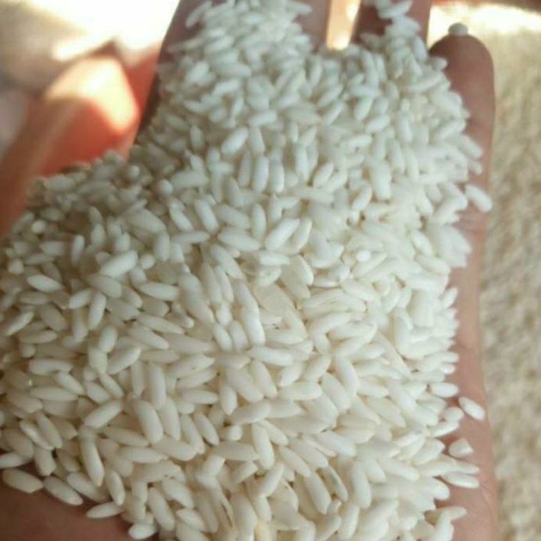 

MURAH LEBAY BERAS KETAN PUTIH PREMIUM 1KG BERAS KETAN PUTIH LOKAL 1KG